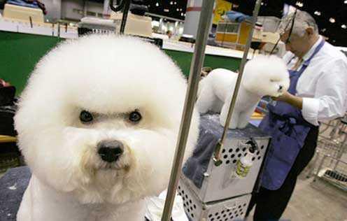 Même à moi ça me manquait....