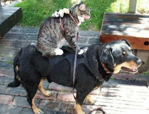 Même à moi ça me manquait....