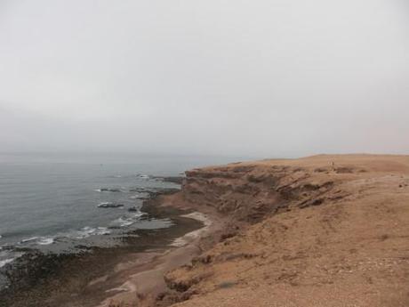 Requiem for a (mini) cat Photo 064.jpg