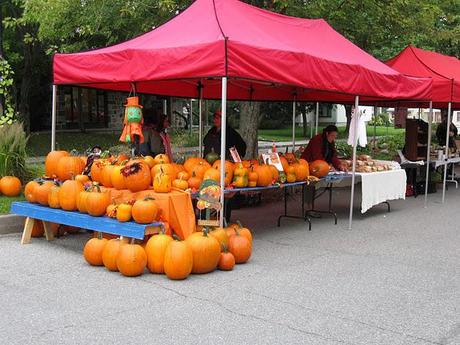 Les couleurs de l'automne...