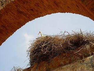 Chellah: Ruines romaines et islamiques