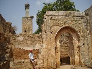 Chellah: Ruines romaines et islamiques