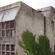 PDF présente  » ON N’ENCHAÎNE PAS LES VOLCANS »