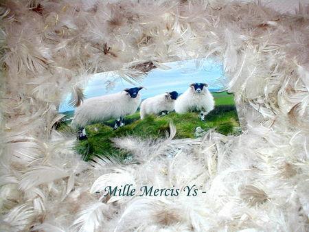 Swap au long cours - Saison 3 - Ys