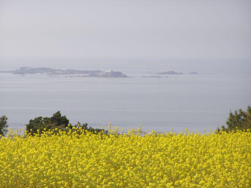 Palette (Jean-Baptiste Besnard)