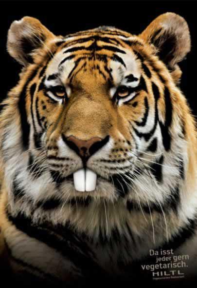 69+ publicités designs et créatives de Septembre 2010