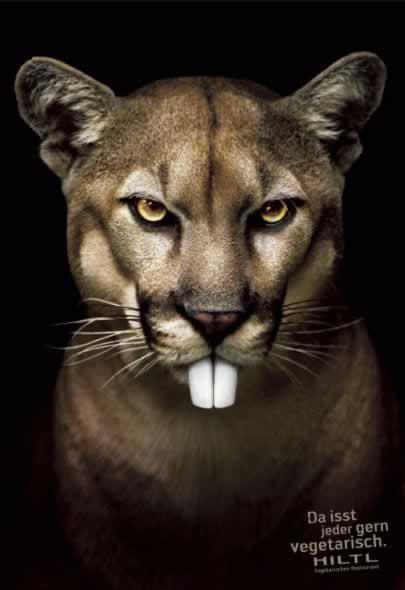 69+ publicités designs et créatives de Septembre 2010