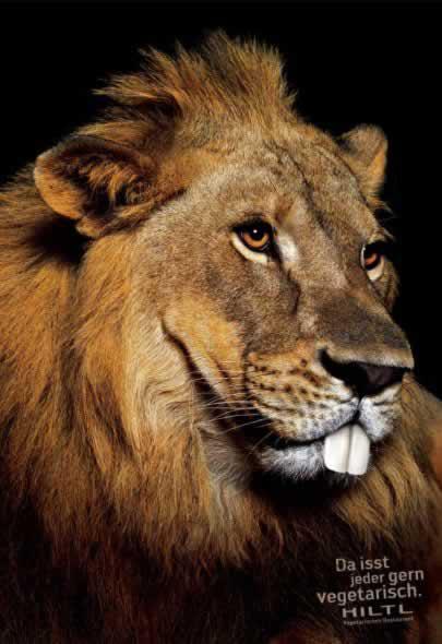 69+ publicités designs et créatives de Septembre 2010