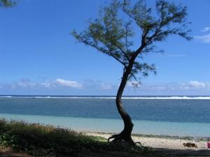 Eductour à La Réunion