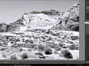 Photographie Noir Blanc dans Lightroom