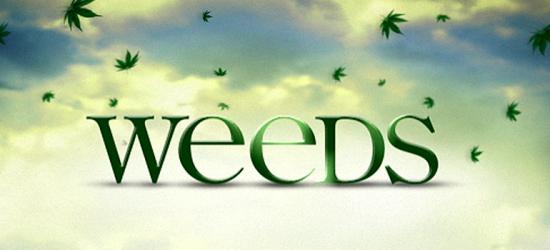 “Weeds” et “The Big C” : C’est signé pour une nouvelle saison !