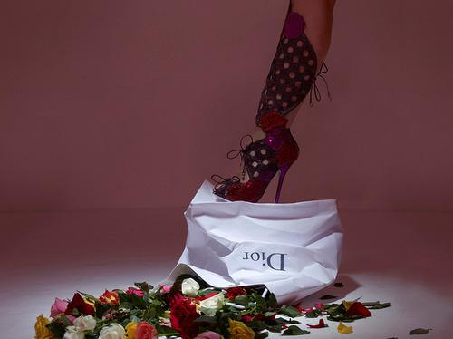 Sarah Schofield for Dior & Swarovski
Source