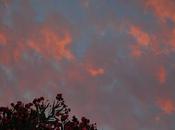 mer, soleil.... finalement RENTREE!!!!