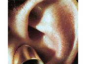 Mesures Objectives Oto-Emissions Acoustiques Spontanées (OEAS) Lien avec Acouphènes