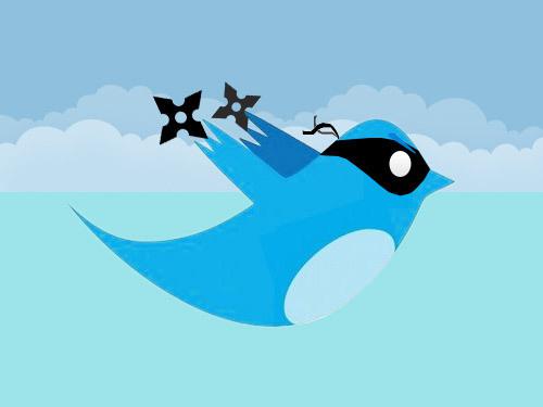 Twitter-Ninja.jpg