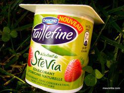 Stevia-taillefine-fraise