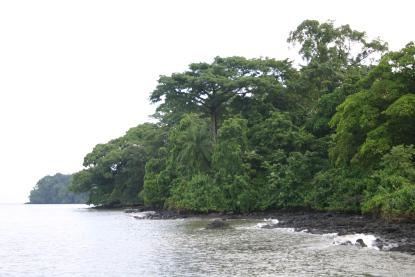 Conclave : Le Cameroun réunit l’Afrique pour le travail décent  