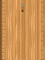 Mesurer avec un iPad, c’est possible