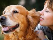 Comment débarrasser peur chiens