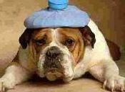 Point récession États-Unis