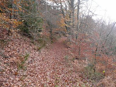 Au fait ? C'est l'automne...