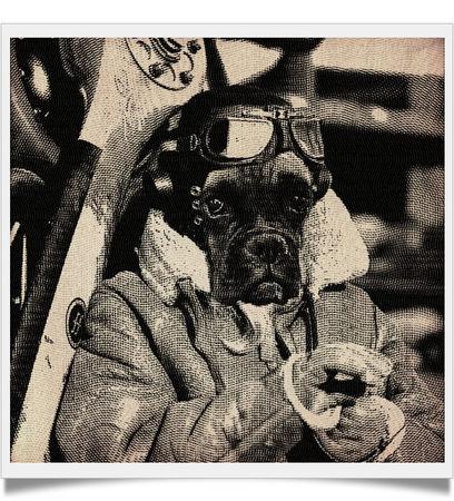 Ip24dqecWRi_OO7ZNOnsPA_framed