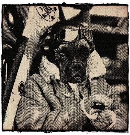 Ip24dqecWRi_OO7ZNOnsPA_framed02