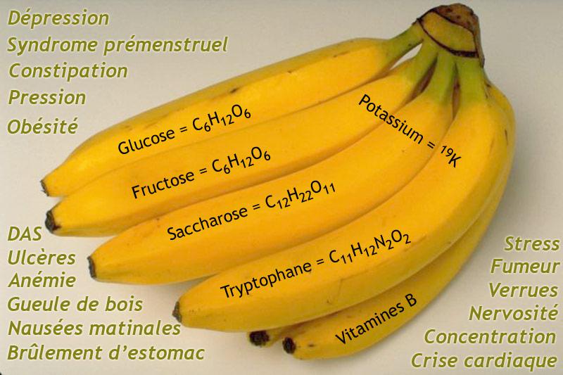 Les bienfaits de la banane bio