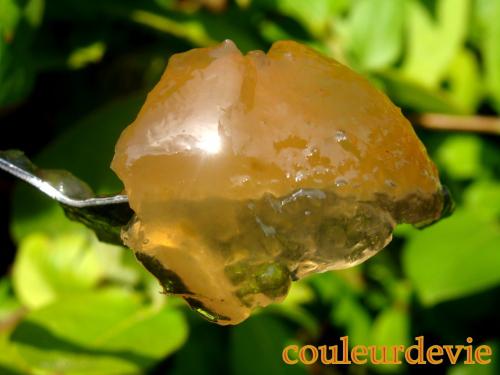 Gelée de pommes