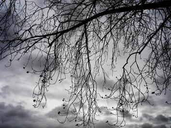 Pluies, fraîcheur, et fort coup de vent ce week-end. 