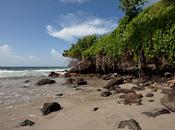 Martinique, soleil plage