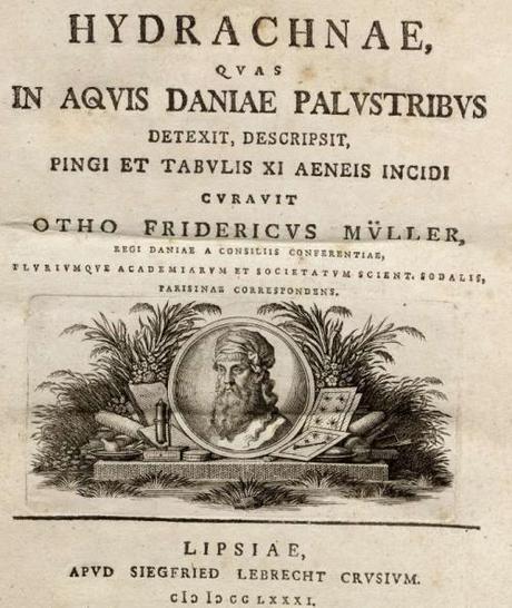 Les hydrachnae de O.F. Müller – 1781