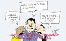 Associations réunionnaises en métropole : le grand bordel