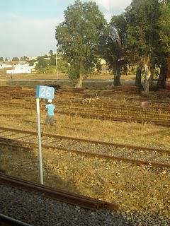 La suite d'un long retour