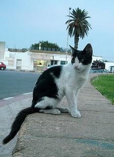 La suite d'un long retour