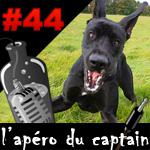 L’apéro du Captain #44 : TVA à 19,6 pour le grand danois de l’Hadopi
