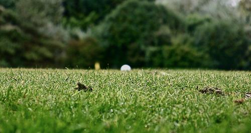 J’ai joué au Golf. Improbable. Comme beaucoup de choses en...