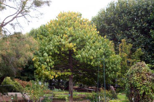 asimina paris 26 sept 2010 249.jpg