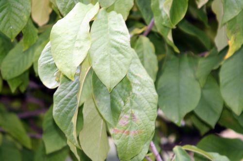 asimina fe paris 26 sept 2010 254.jpg