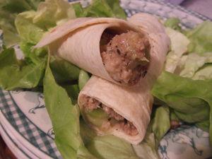 Burritos de calabacin con carne DSCF6293