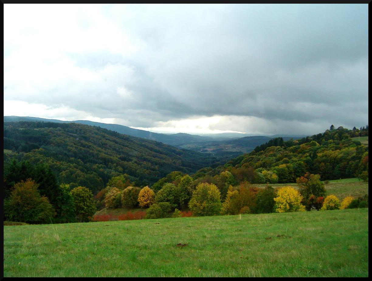 arrivée de l’automne