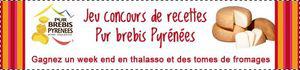 osez_les_fromages_pur_brebis_pyrenees_vous_allez_adorer_concours_de_recettes