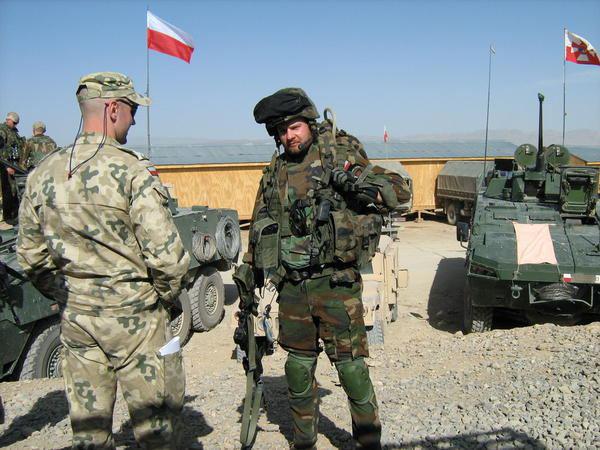 http://www.armyrecognition.com/images/stories/east_europe/poland/ranks_uniforms/uniforms/pictures/Polish_Army_Poland_soldiers_combat_uniforms_Afghanistan_008.jpg