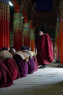 Terres Tibetaines (7/7) - Langmusi, Petit Paradis Tibétain