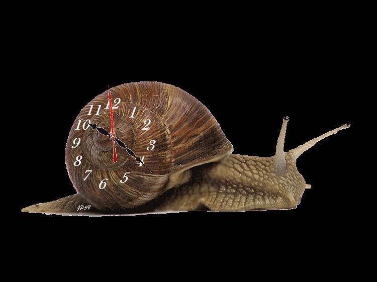 Les horloges (Tilemachos Chytiris)