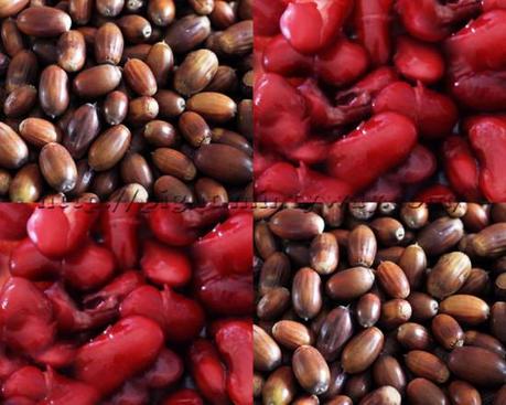 Glands&HaricotsRougesPIGUT Gland & Haricots Rouges