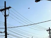 Cliqua Contact [Classic Français]