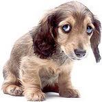 Les 5 emmerdements du blogueur...