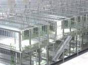 Colt commercialise salles informatiques