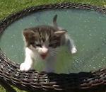 vidéo internet parfaite